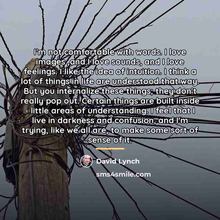 “I'm not comfortable with words. I love images ,and I…” quote by David Lynch