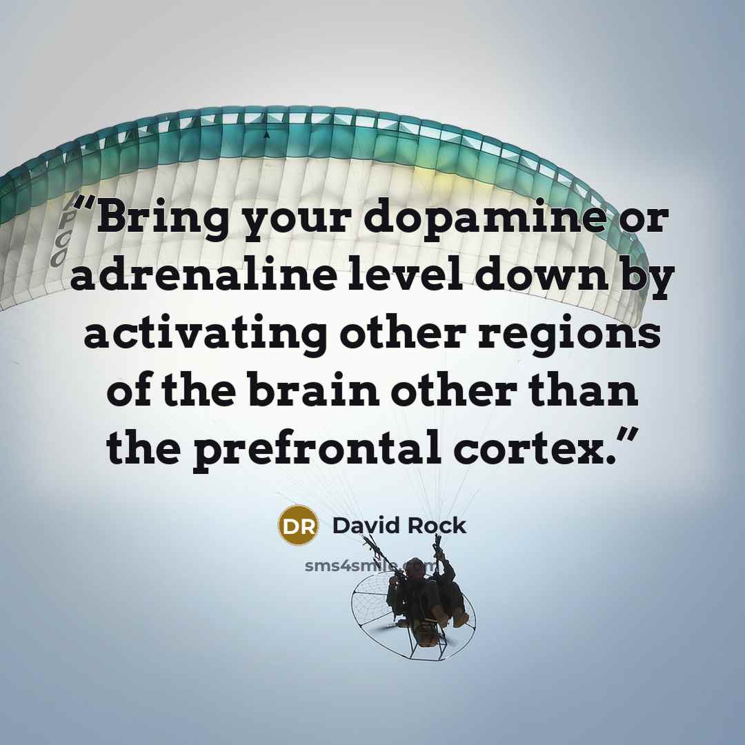 “Bring your dopamine or adrenaline level down by activating other regions of the brain other than the prefrontal cortex.” quote by David Rock