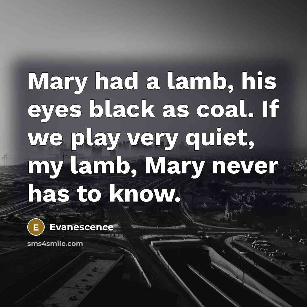 “Mary had a lamb, his eyes black as coal. If we play very quiet, my lamb, Mary never has to know.” quote by Evanescence