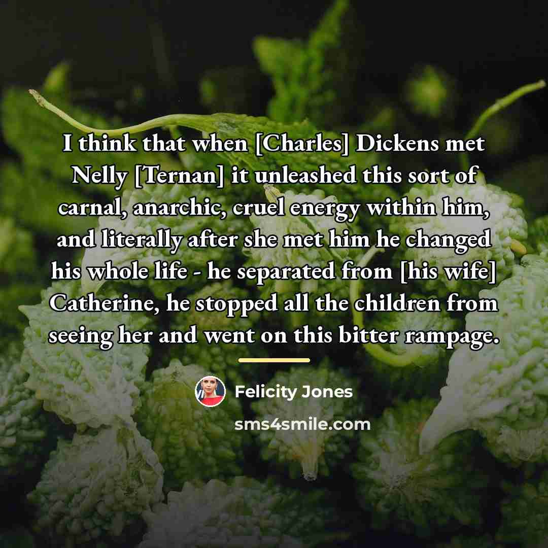 “I think that when [Charles] Dickens met Nelly [Ternan] it…” quote by Felicity Jones