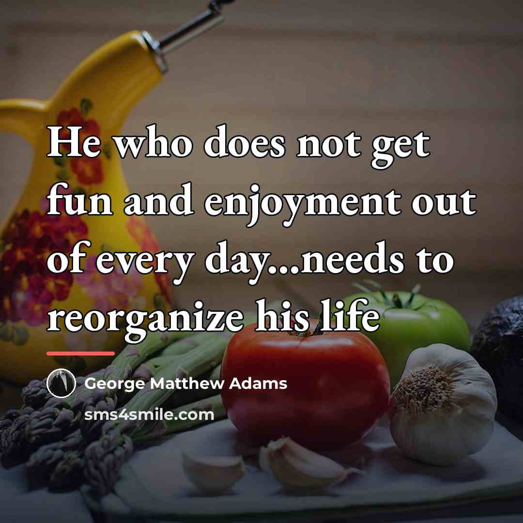 “He who does not get fun and enjoyment out of…” quote by George Matthew Adams