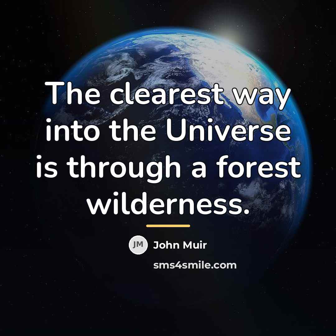“The clearest way into the Universe is through a forest…” quote by John Muir