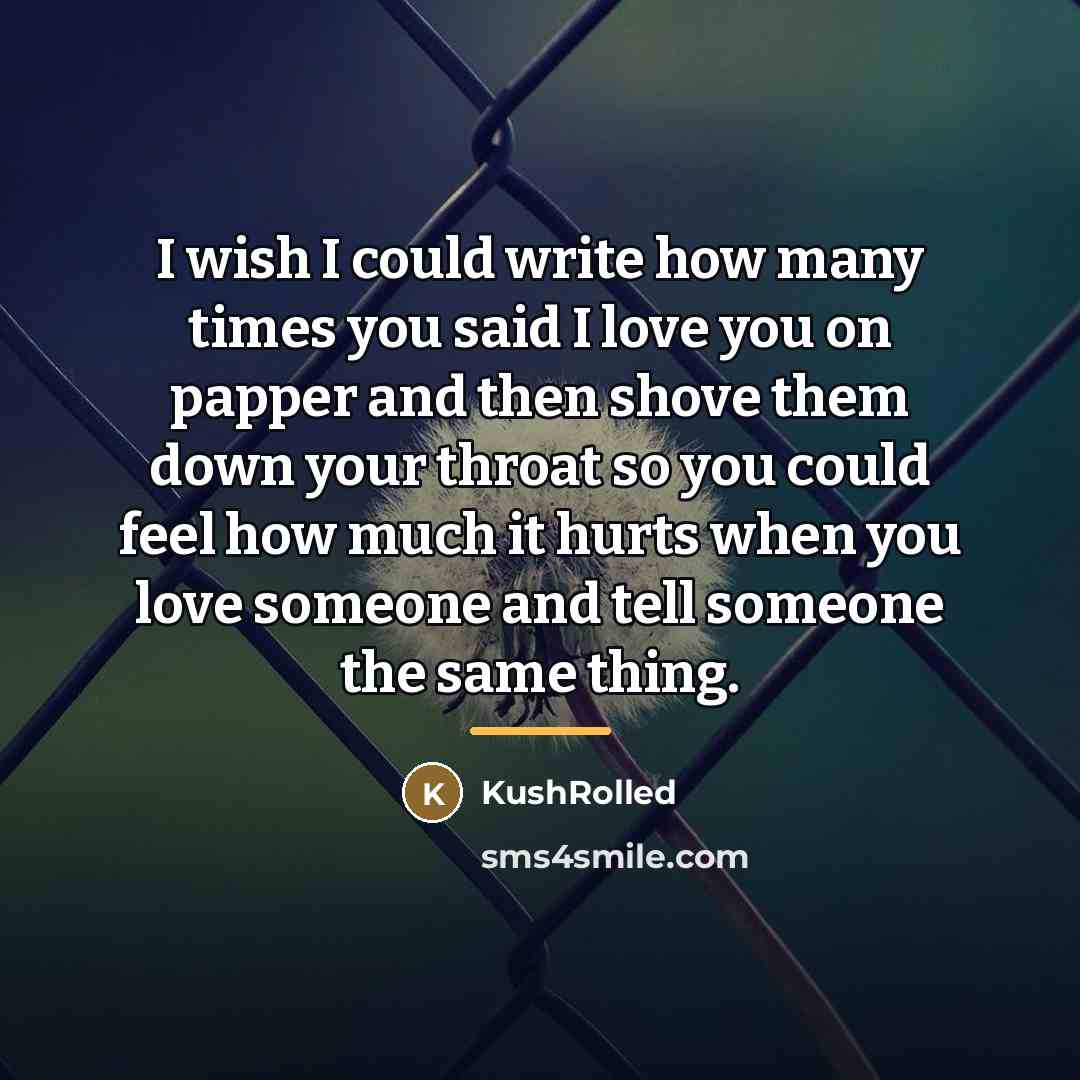 “I wish I could write how many times you said…” quote by KushRolled