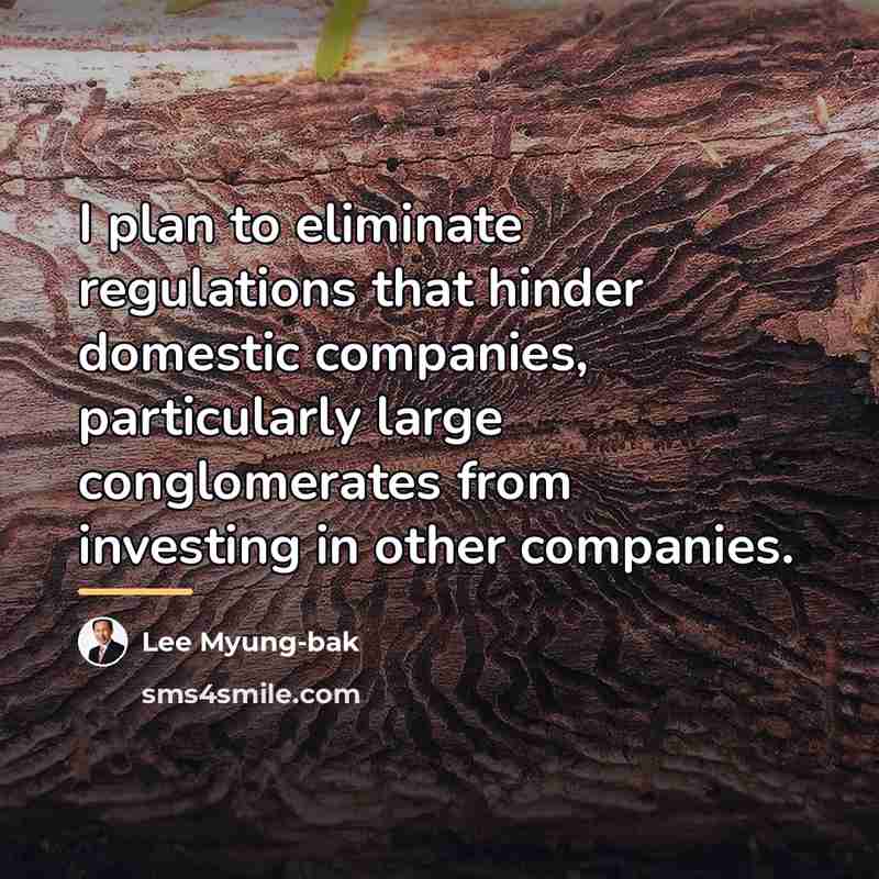 “I plan to eliminate regulations that hinder domestic companies, particularly…” quote by Lee Myung-bak