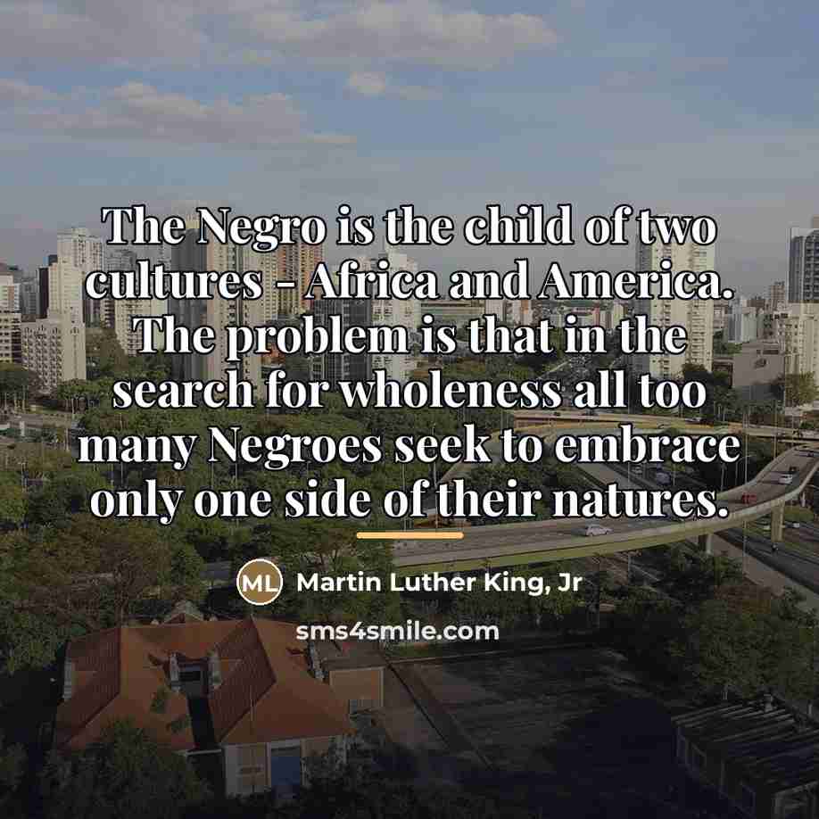 “The Negro is the child of two cultures - Africa…” quote by Martin Luther King, Jr