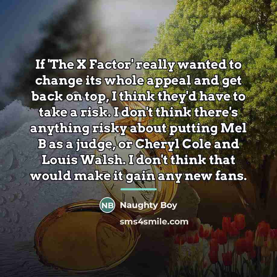 “If 'The X Factor' really wanted to change its whole…” quote by Naughty Boy
