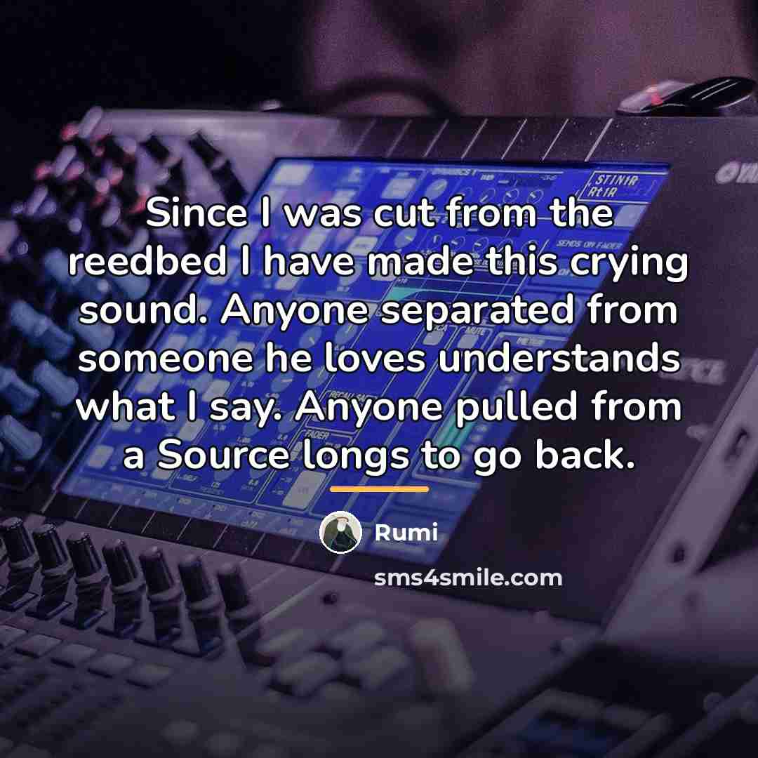 “Since I was cut from the reedbed I have made…” quote by Rumi