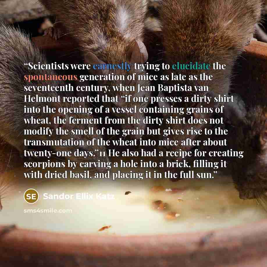 “Scientists were earnestly trying to elucidate the spontaneous generation of mice as late as the seventeenth century, when Jean Baptista van Helmont reported that “if one presses a dirty shirt into the opening of a vessel containing grains of wheat, the ferment from the dirty shirt does not modify…” quote by Sandor Ellix Katz