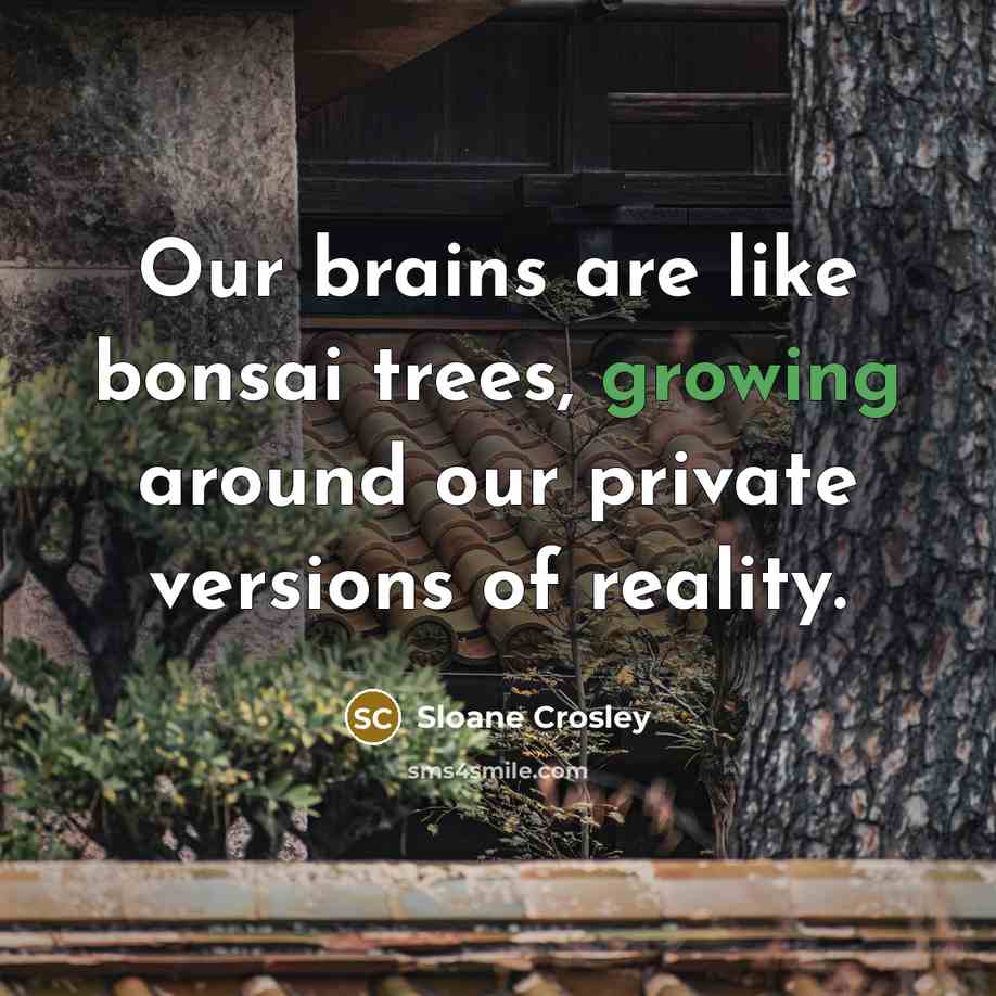 “Our brains are like bonsai trees, growing around our private…” quote by Sloane Crosley
