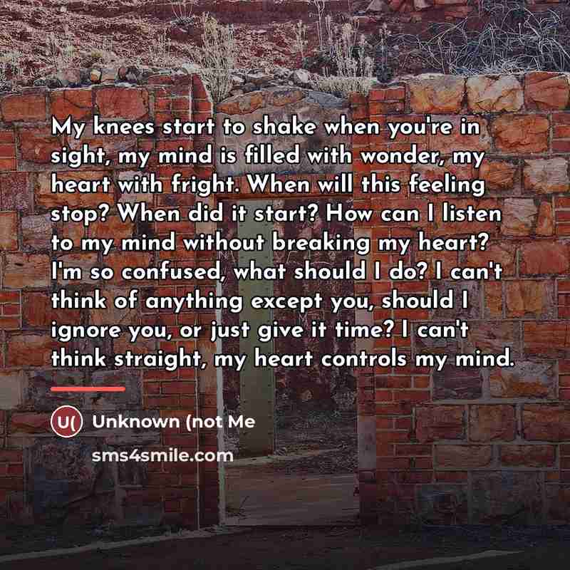 “My knees start to shake when you're in sight, my…” quote by Anonymous