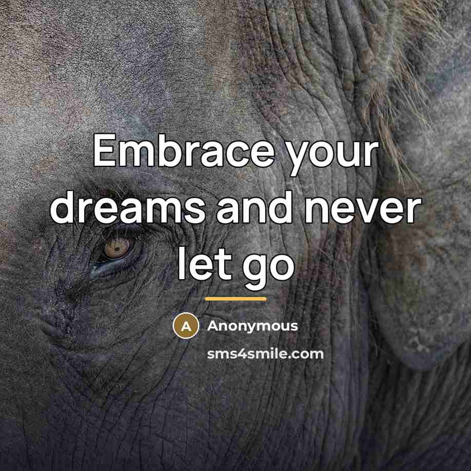“Embrace your dreams and never let go…” quote by Anonymous