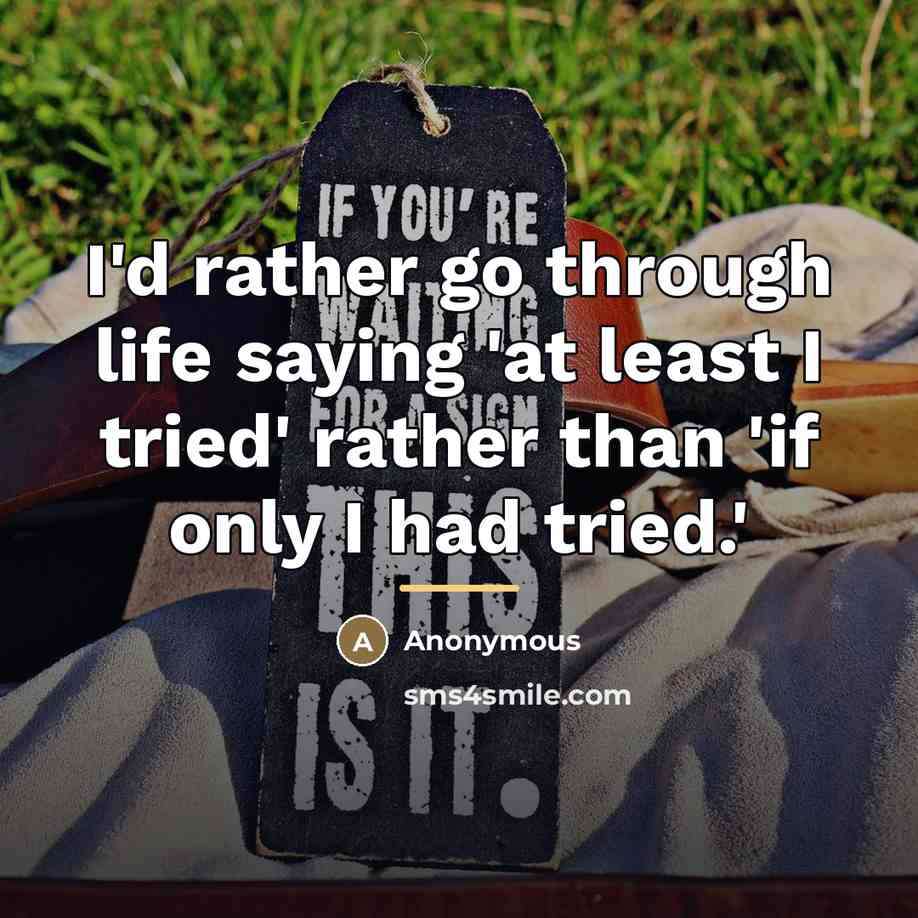 “I'd rather go through life saying 'at least I tried'…” quote by Anonymous