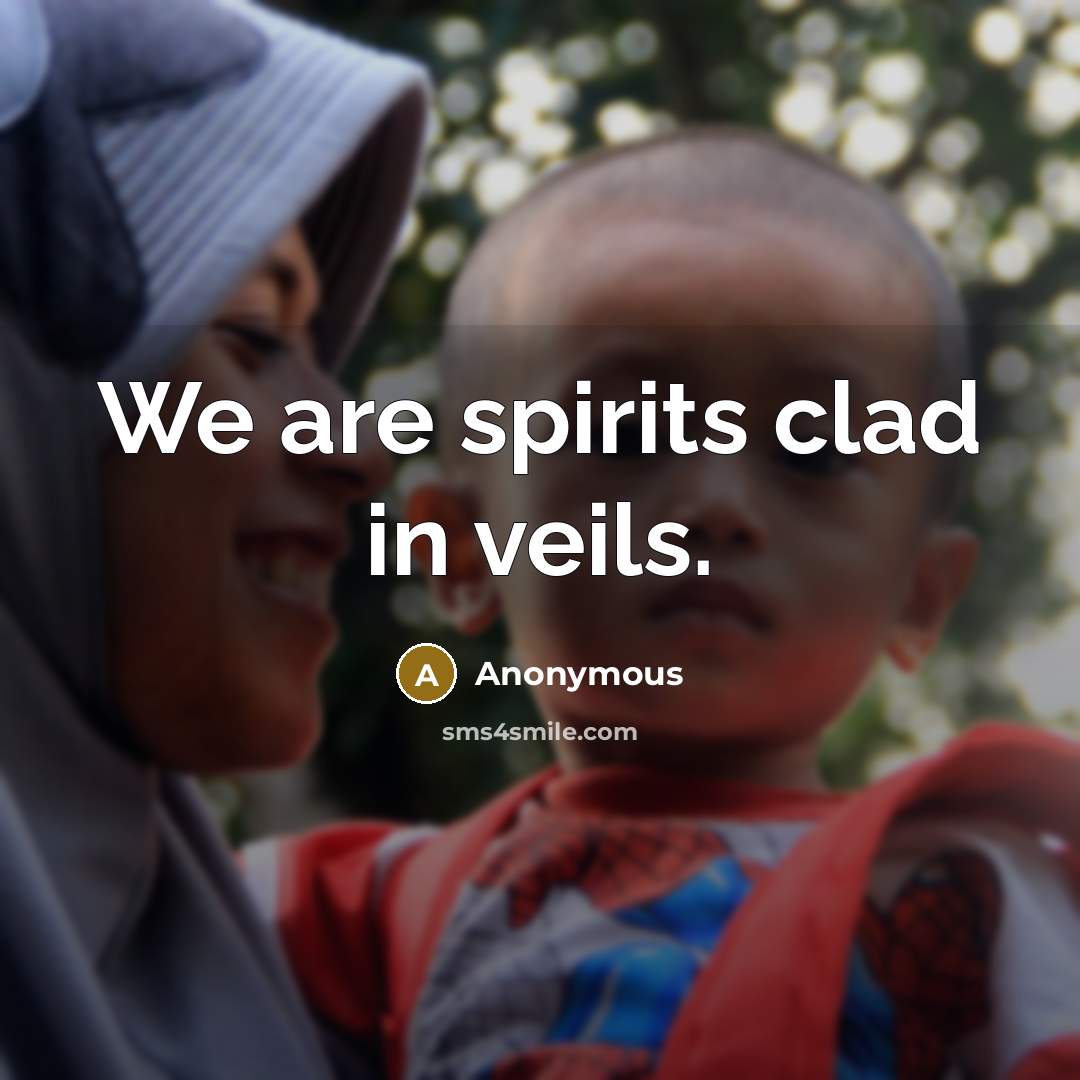 “We are spirits clad in veils.…” quote by Anonymous