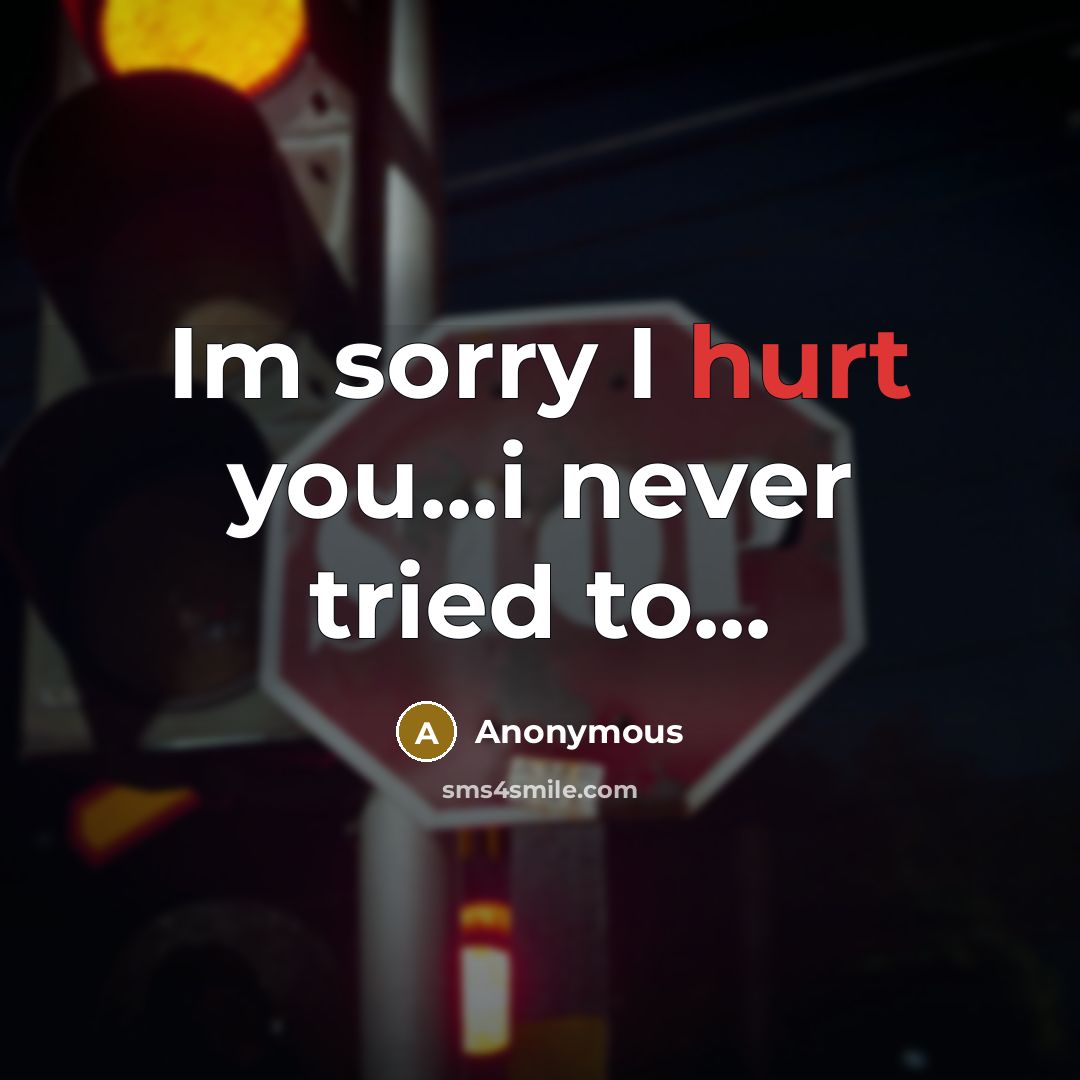 “Im sorry I hurt you...i never tried to...…” quote by Anonymous