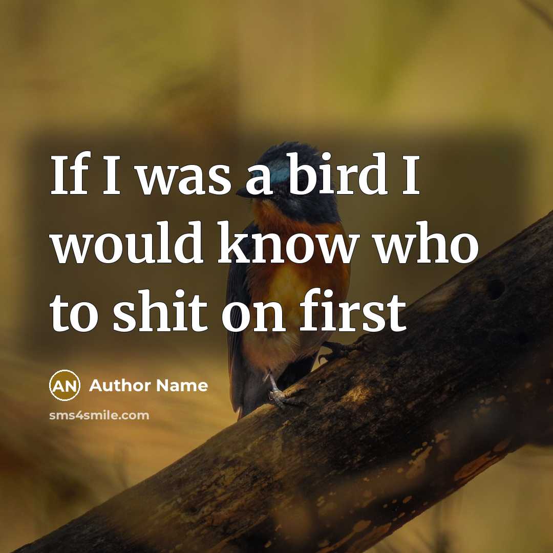 “If I was a bird I would know who to…” quote by Author Name