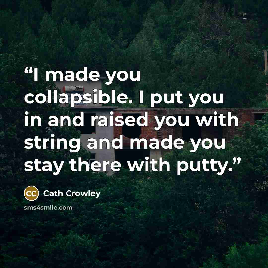 “I made you collapsible. I put you in and raised you with string and made you stay there with putty.” quote by Cath Crowley