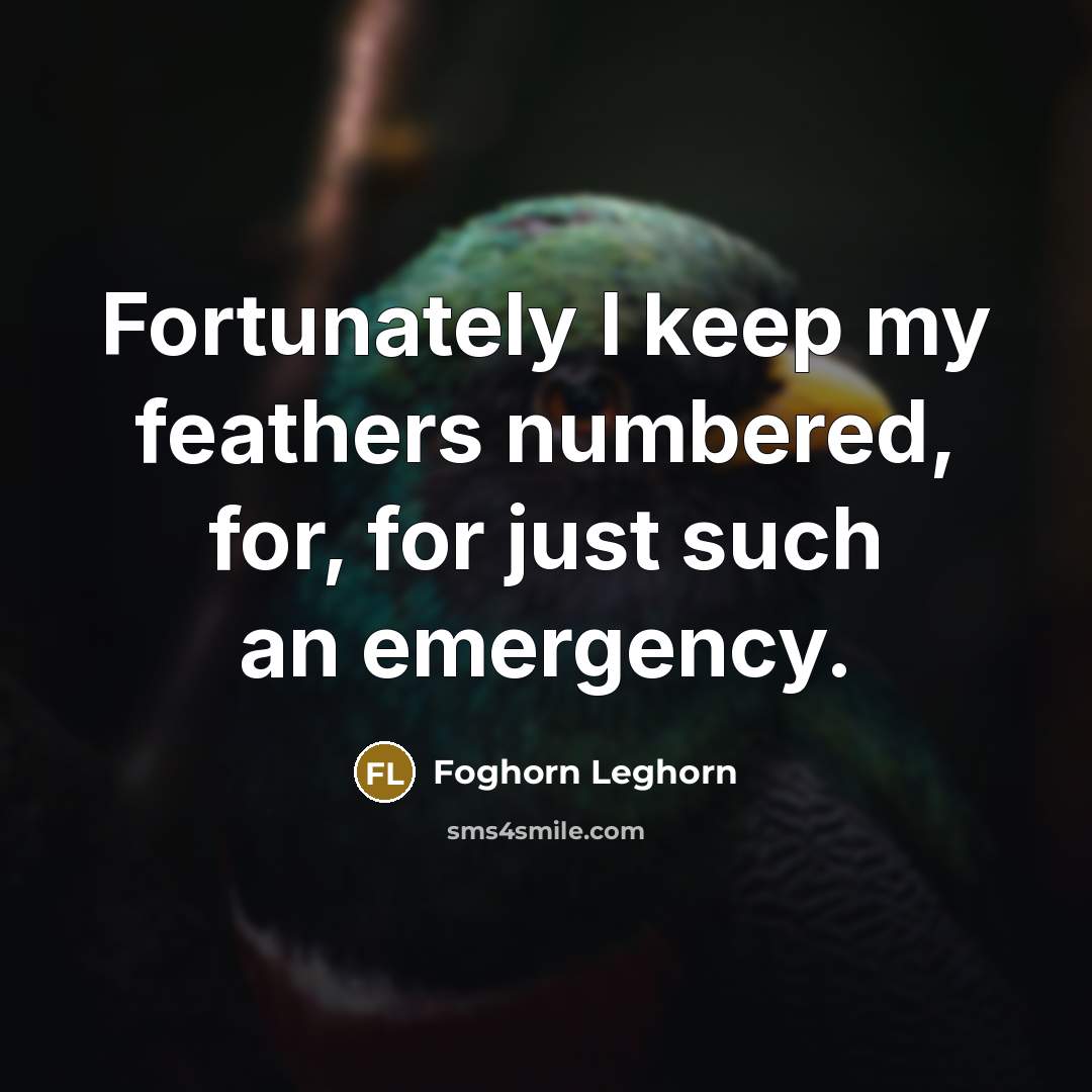 “Fortunately I keep my feathers numbered, for, for just such…” quote by Foghorn Leghorn