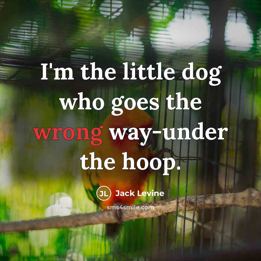 “I'm the little dog who goes the wrong way-under the…” quote by Jack Levine