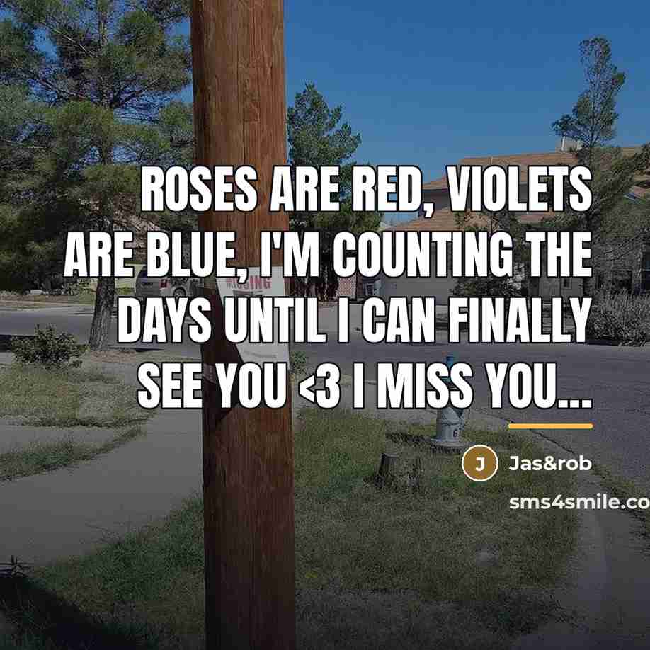“Roses are red, violets are blue, I'm counting the days…” quote by Jas&rob