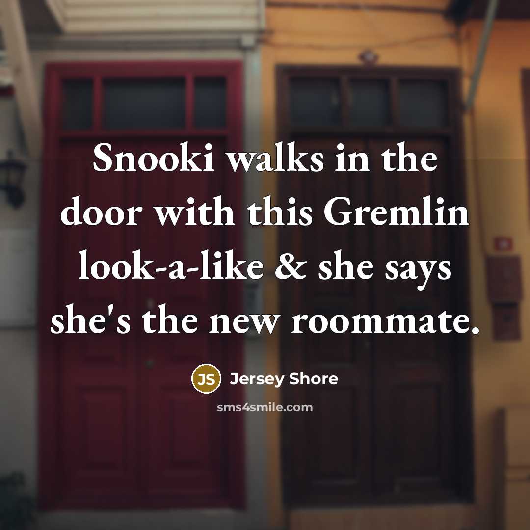 “Snooki walks in the door with this Gremlin look-a-like & she says she's the new roommate.” quote by Jersey Shore