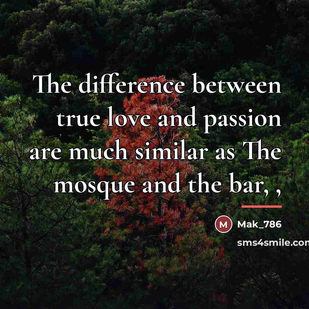 “The difference between true love and passion are much similar…” quote by Mak_786