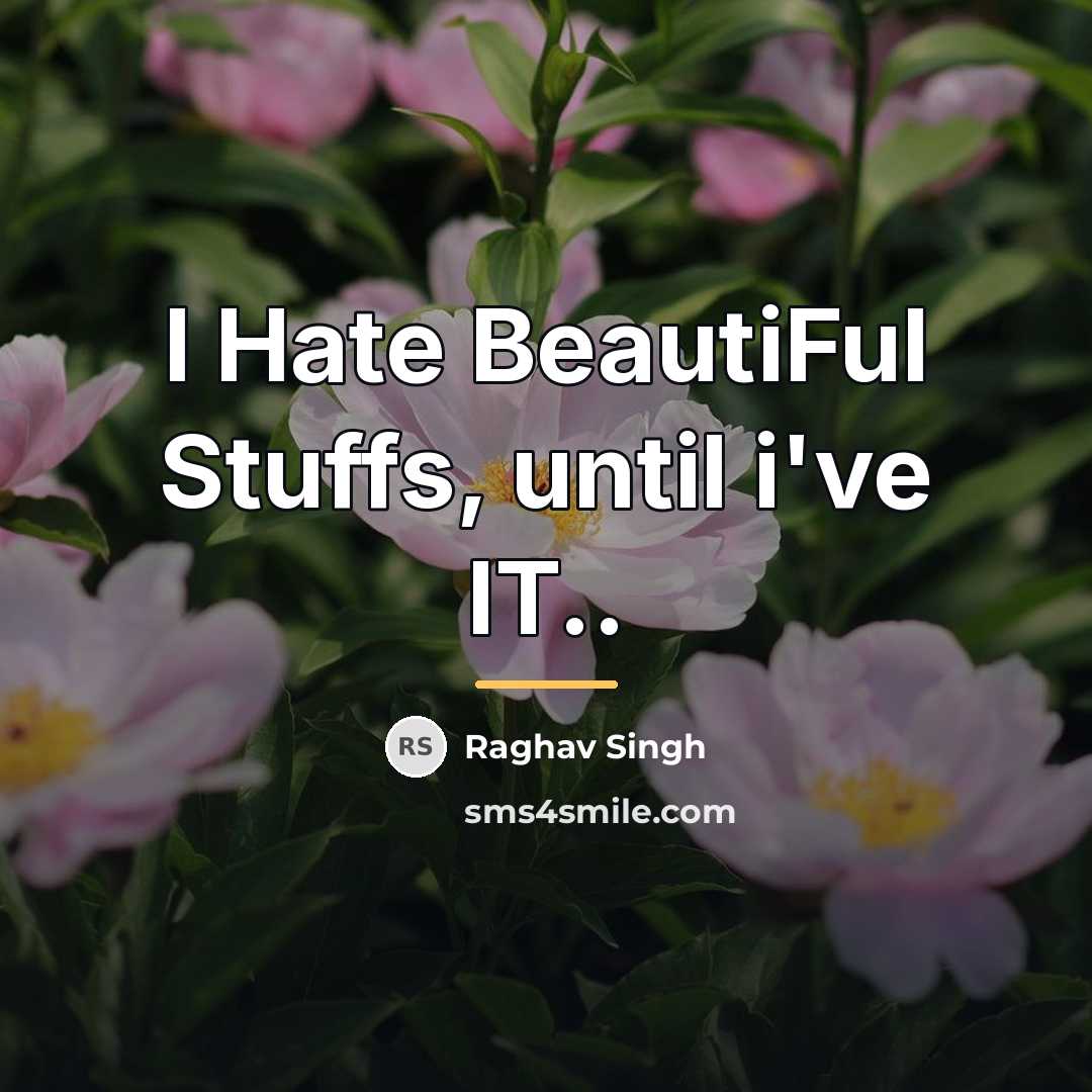“I Hate BeautiFul Stuffs, until i've IT..…” quote by Raghav Singh