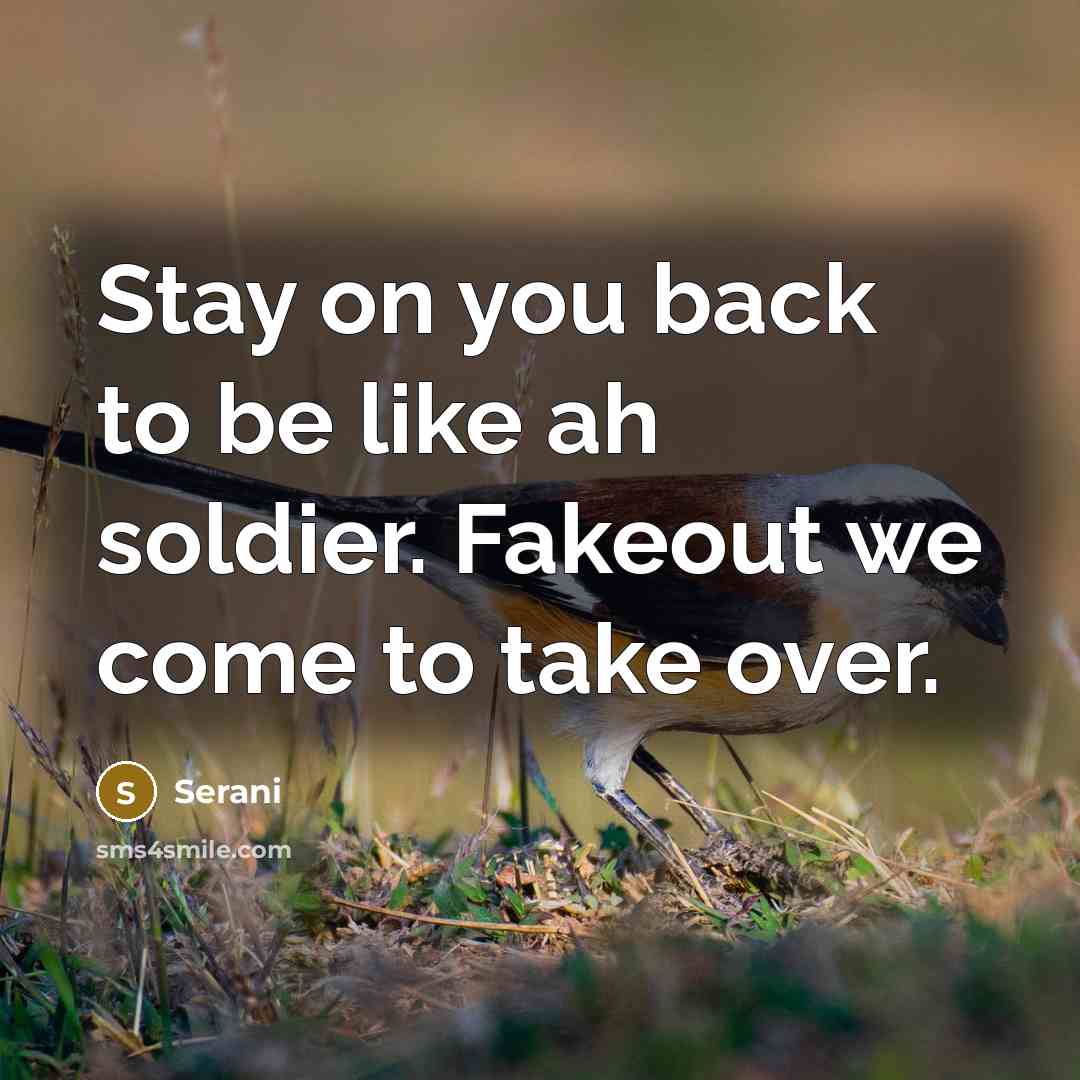 “Stay on you back to be like ah soldier. Fakeout we come to take over.” quote by Serani