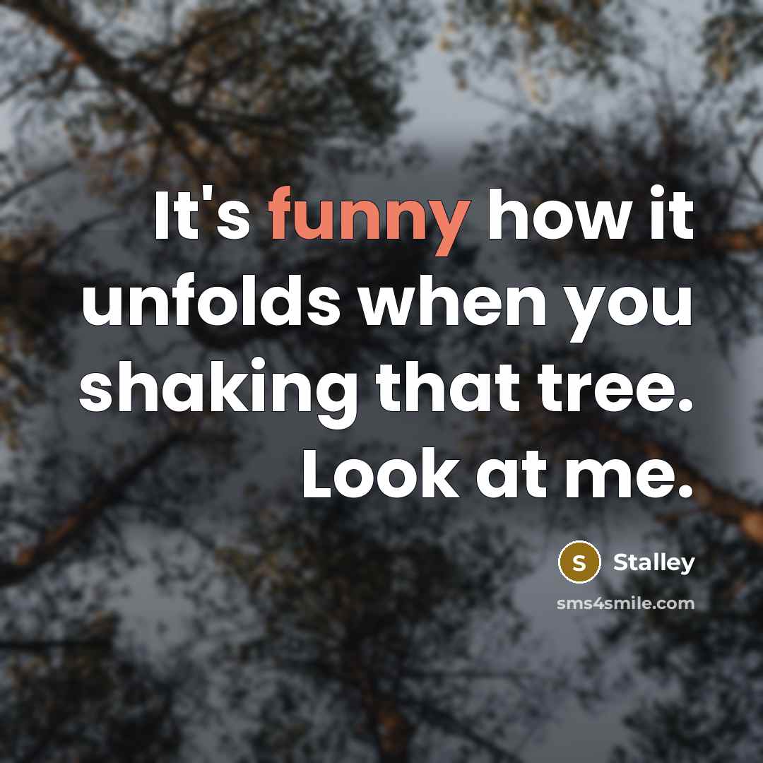 “It's funny how it unfolds when you shaking that tree.…” quote by Stalley