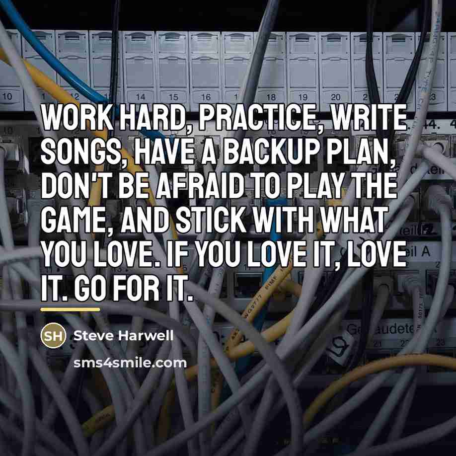 “Work hard, practice, write songs, have a backup plan, don't…” quote by Steve Harwell