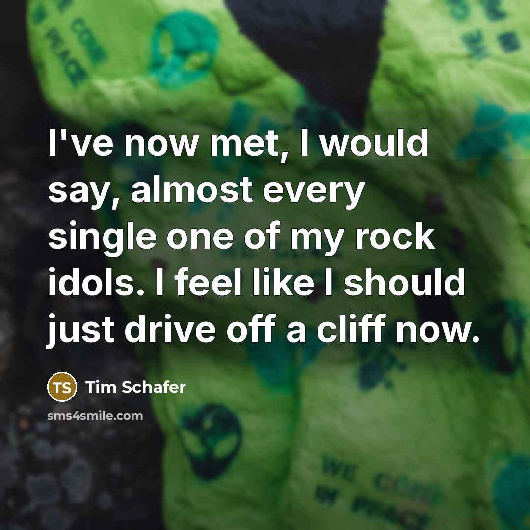 “I've now met, I would say, almost every single one…” quote by Tim Schafer