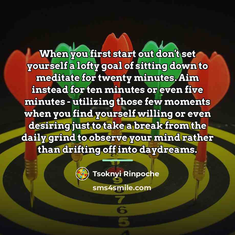 “When you first start out don't set yourself a lofty…” quote by Tsoknyi Rinpoche