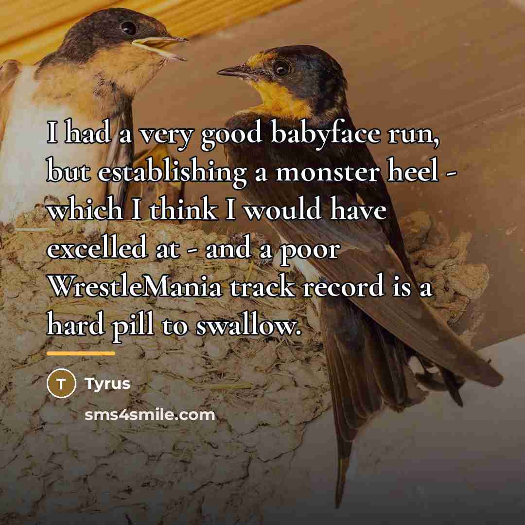 “I had a very good babyface run, but establishing a…” quote by Tyrus