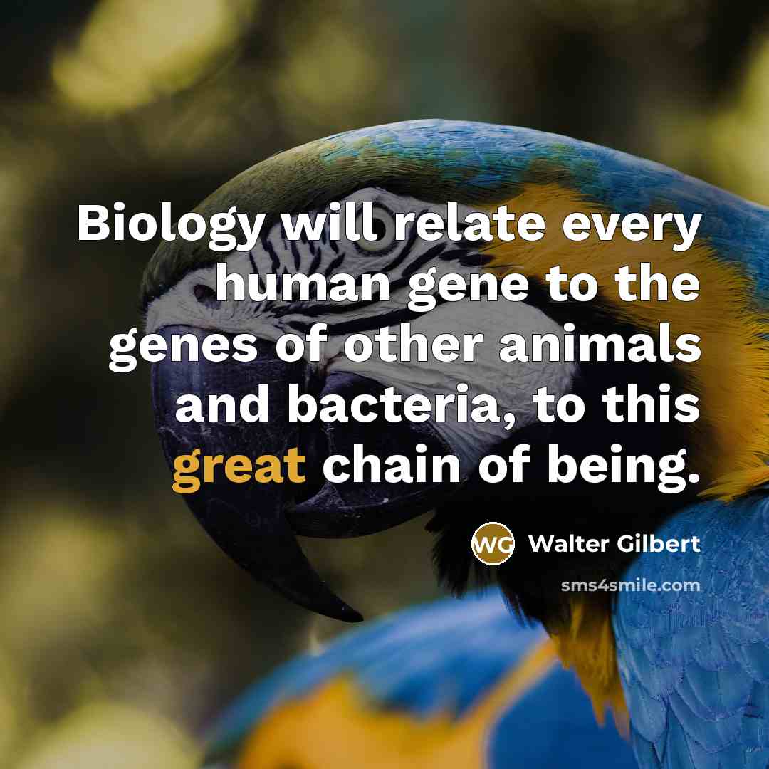 “Biology will relate every human gene to the genes of…” quote by Walter Gilbert