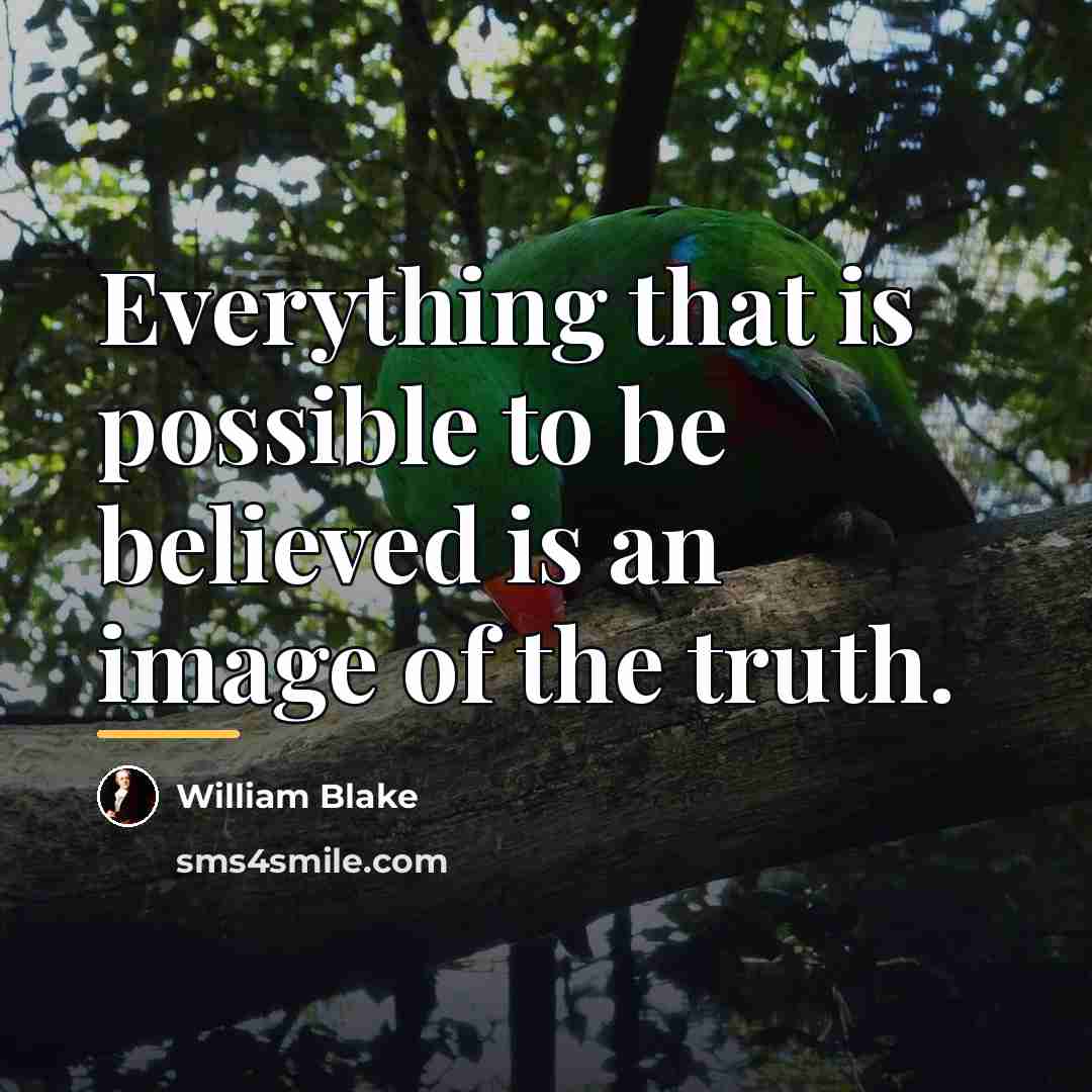 “Everything that is possible to be believed is an image…” quote by William Blake