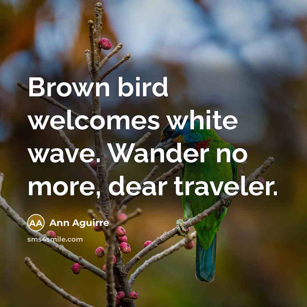 “Brown bird welcomes white wave. Wander no more, dear traveler.…” quote by Ann Aguirre