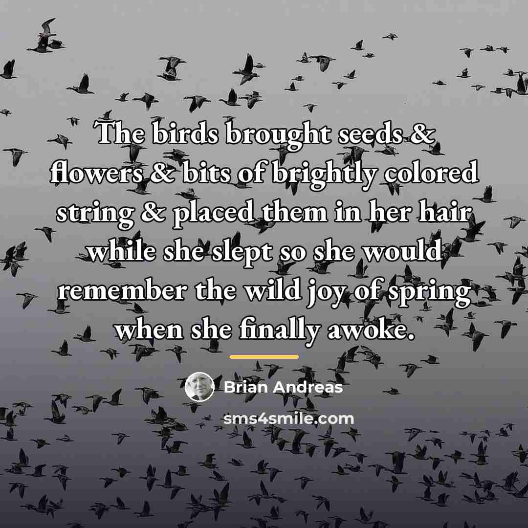 “The birds brought seeds & flowers & bits of brightly…” quote by Brian Andreas