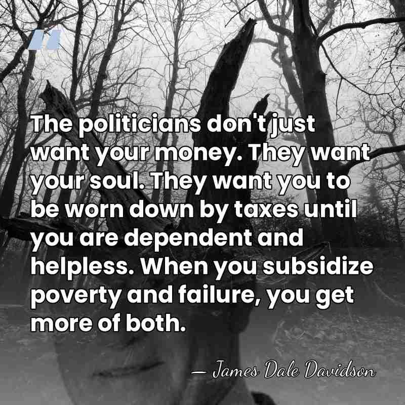 The politicians don't just want your money. They want your soul. They&hellip; - James Dale Davidson