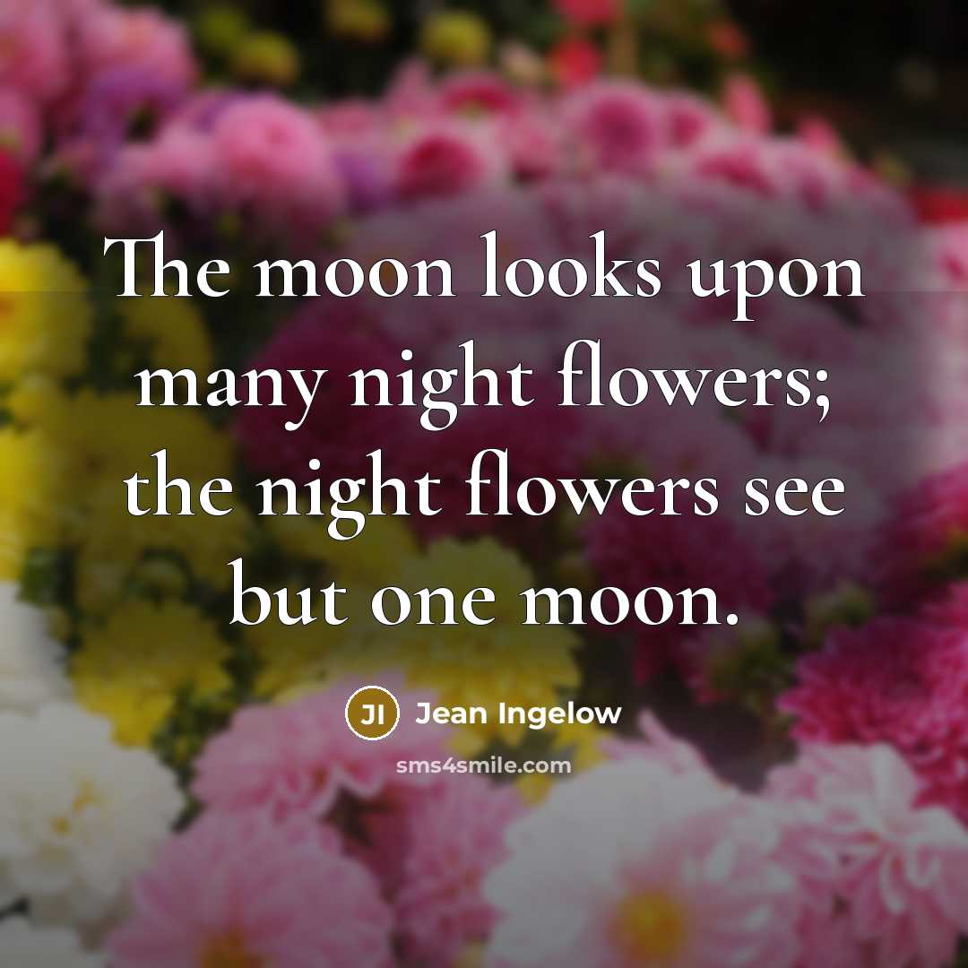 “The moon looks upon many night flowers; the night flowers…” quote by Jean Ingelow