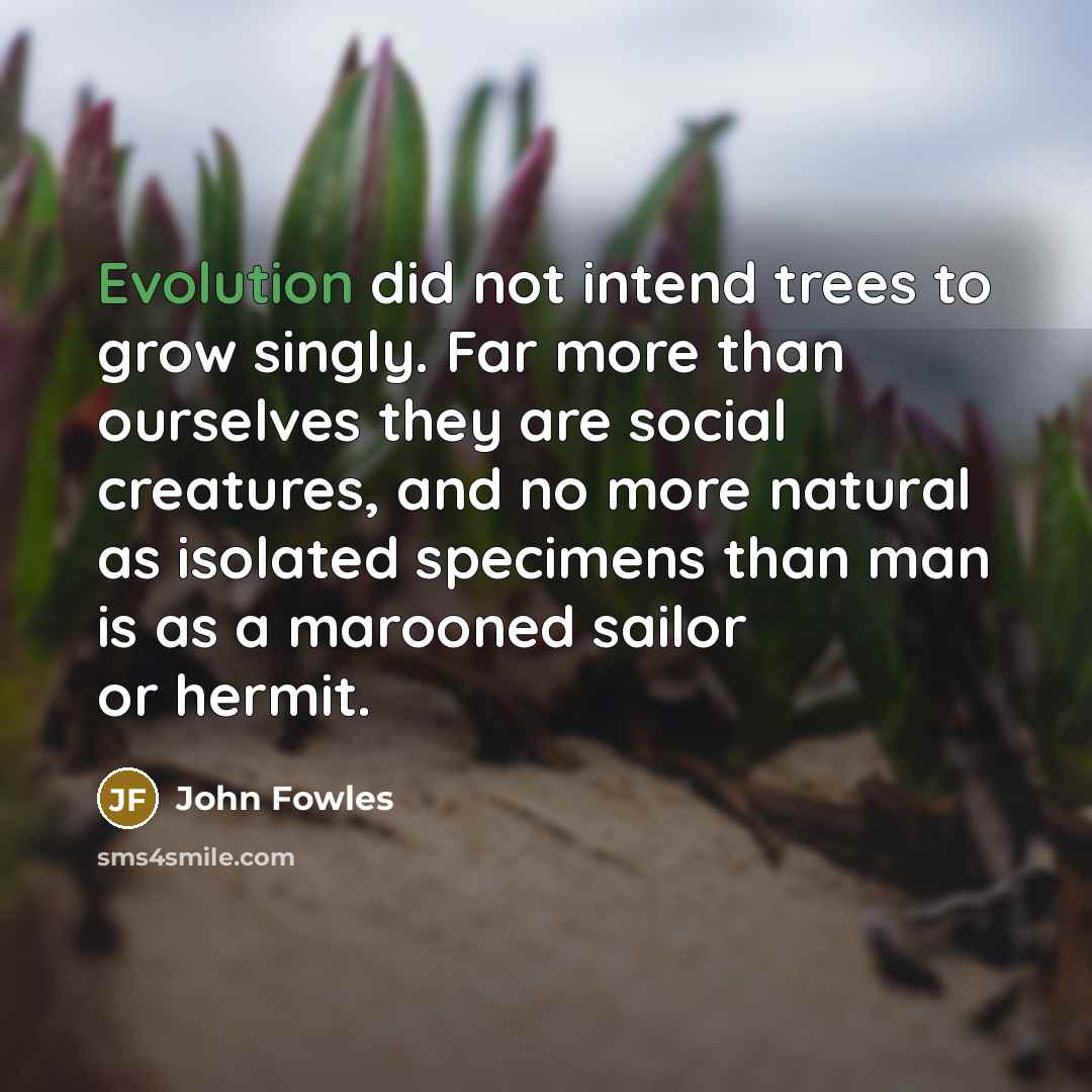 “Evolution did not intend trees to grow singly. Far more…” quote by John Fowles