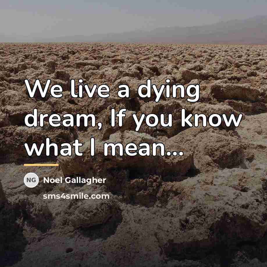 “We live a dying dream, If you know what I…” quote by Noel Gallagher