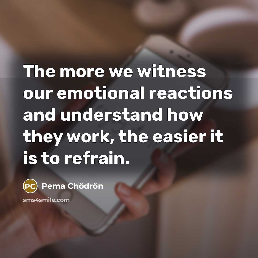 “The more we witness our emotional reactions and understand how…” quote by Pema Chodron