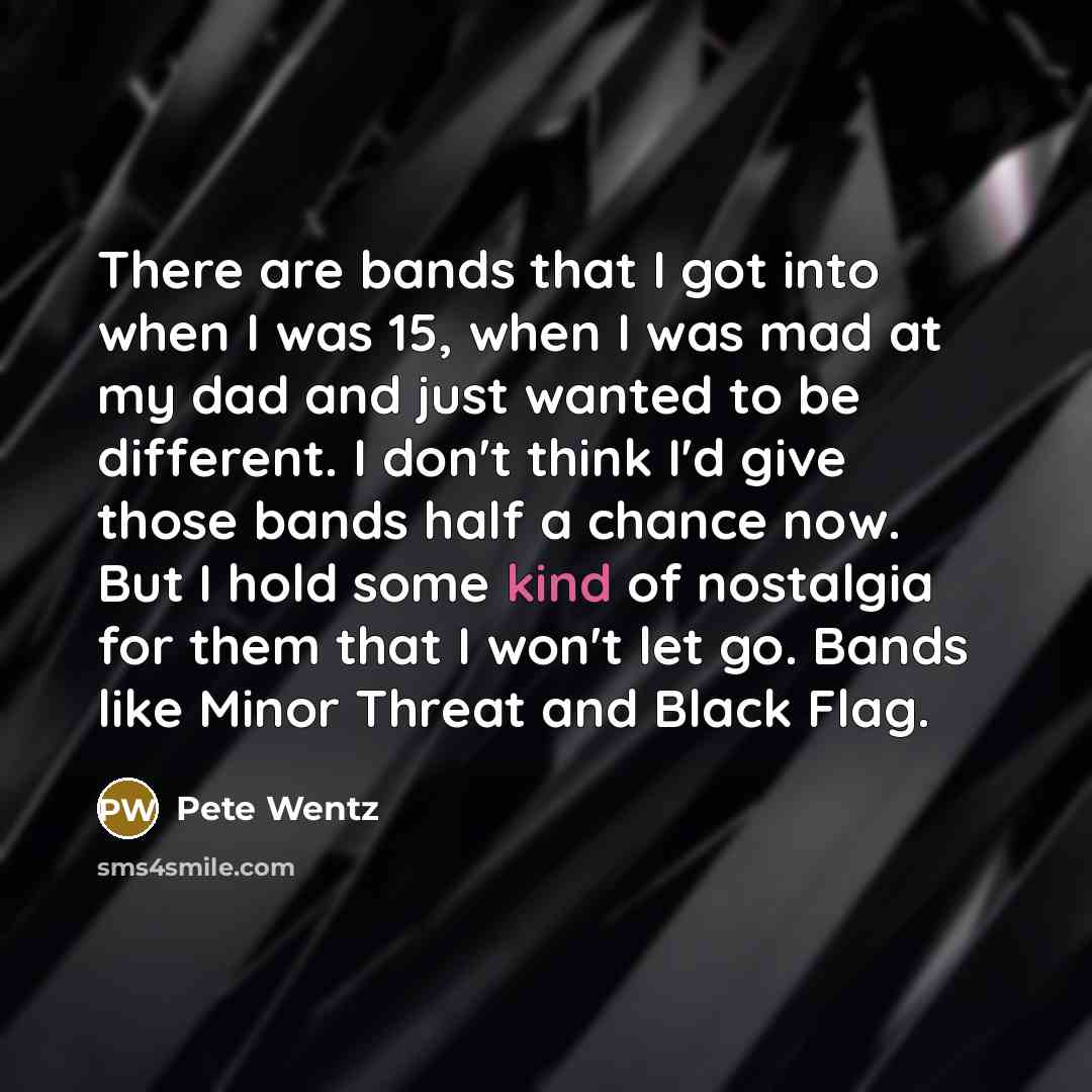 “There are bands that I got into when I was…” quote by Pete Wentz