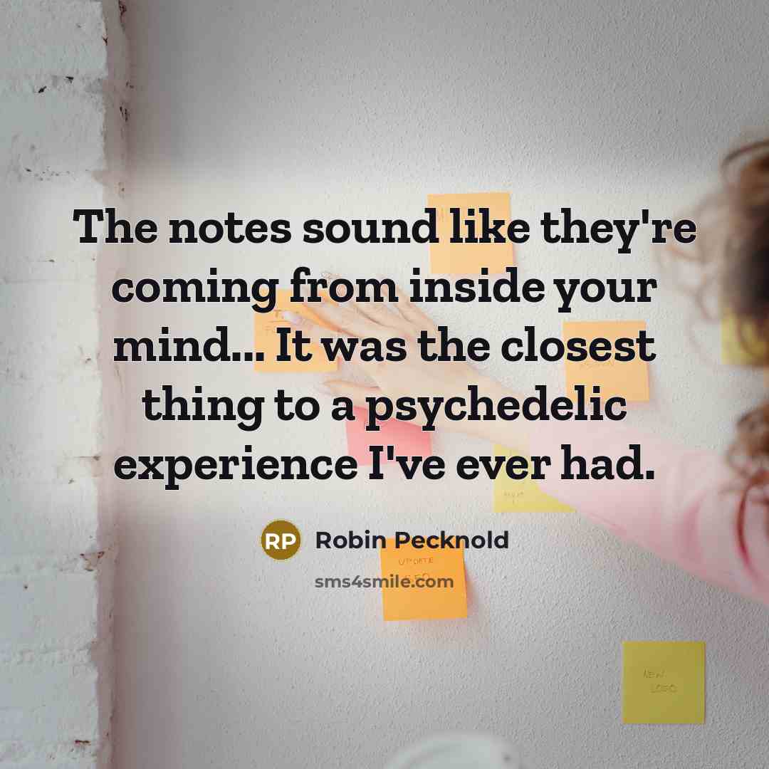 “The notes sound like they're coming from inside your mind...…” quote by Robin Pecknold