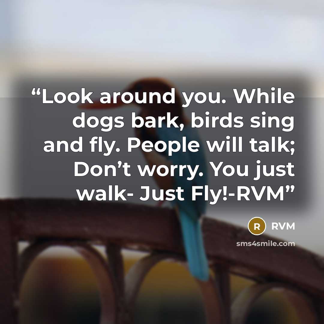 “Look around you. While dogs bark, birds sing and fly. People will talk; Don’t worry. You just walk- Just Fly!-RVM” quote by RVM