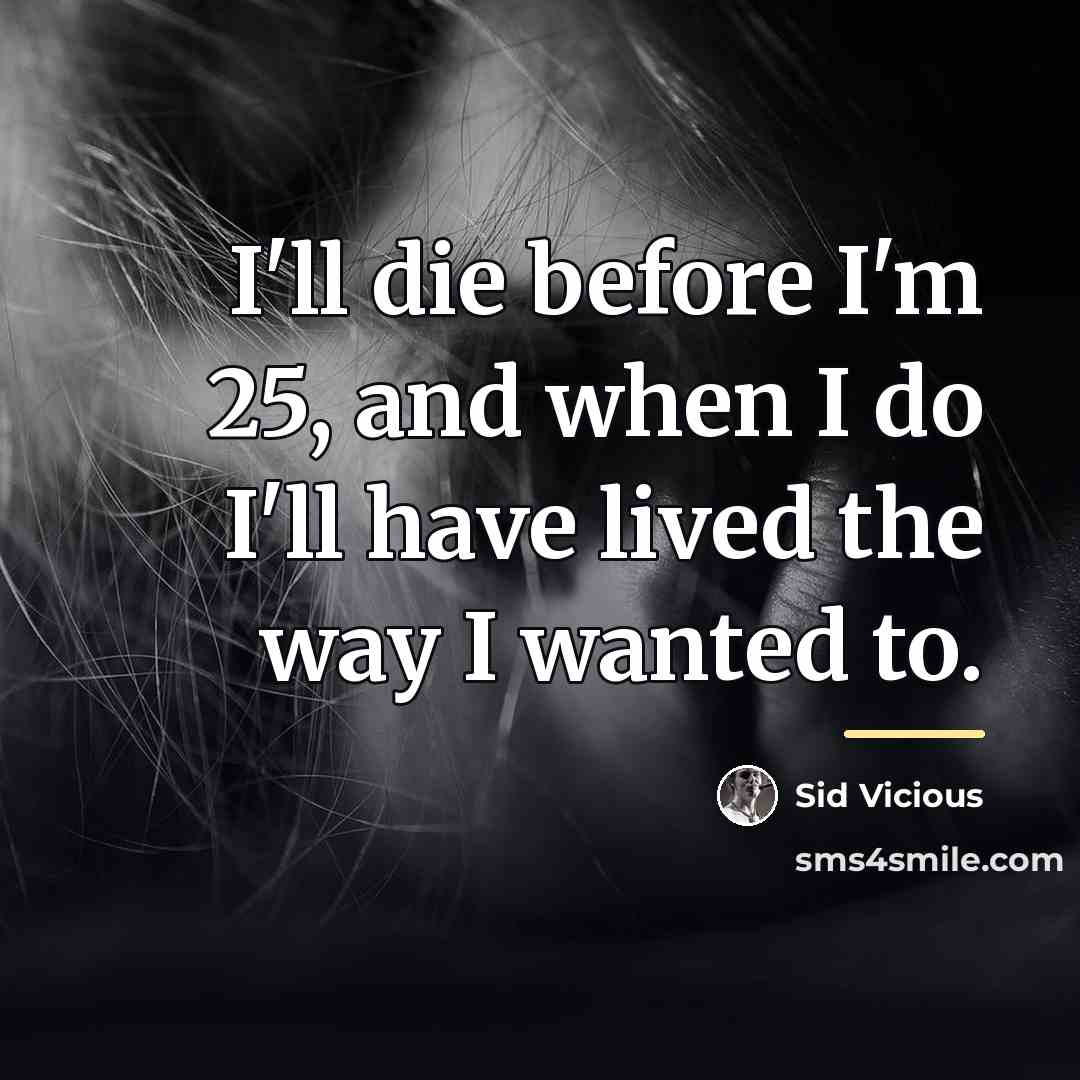 “I'll die before I'm 25, and when I do I'll…” quote by Sid Vicious