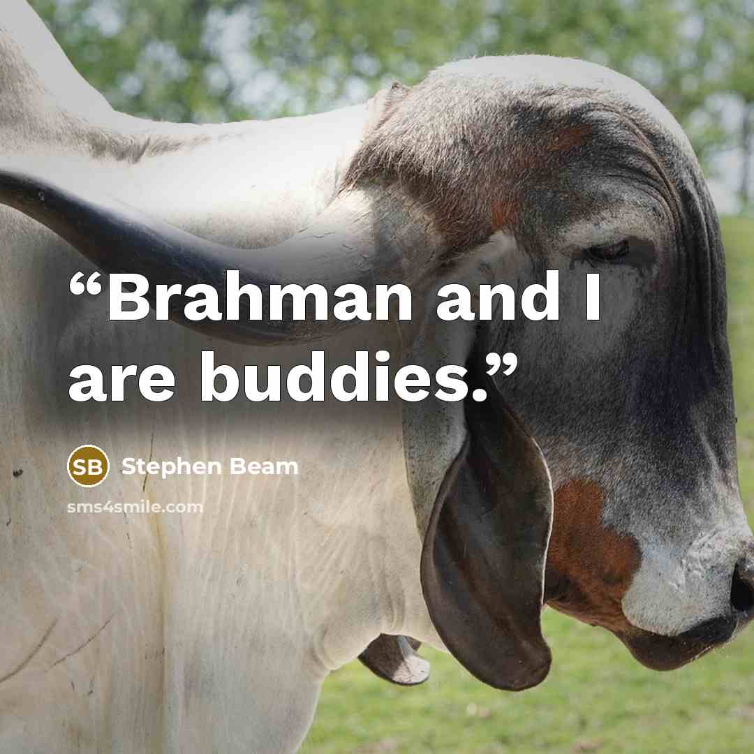 “Brahman and I are buddies.” quote by Stephen Beam