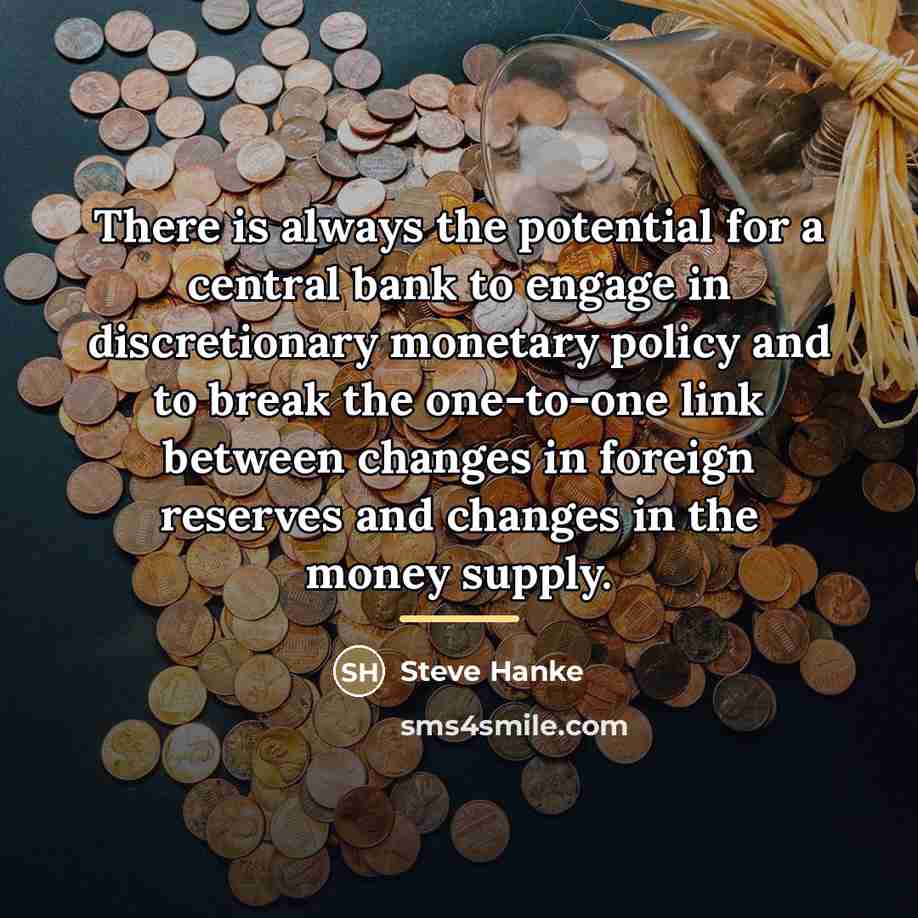 “There is always the potential for a central bank to…” quote by Steve Hanke