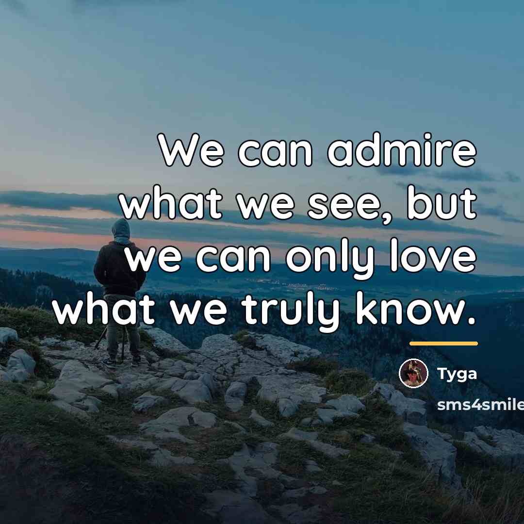 “We can admire what we see, but we can only…” quote by Tyga