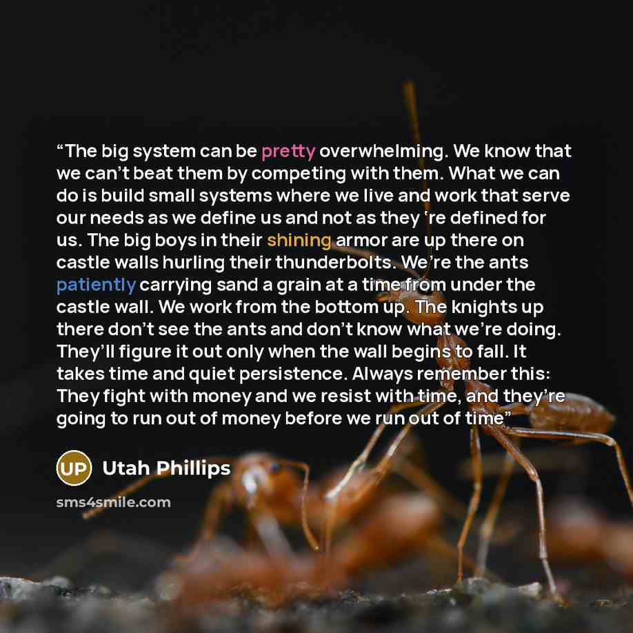 “The big system can be pretty overwhelming. We know that we can’t beat them by competing with them. What we can do is build small systems where we live and work that serve our needs as we deﬁne us and not as they ‘re deﬁned for us. The big boys in their shining armor are up there on castle walls…” quote by Utah Phillips