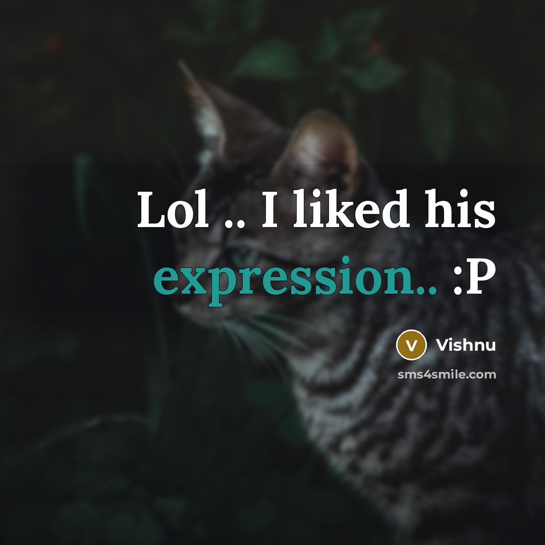 “Lol .. I liked his expression.. :P” quote by Vishnu